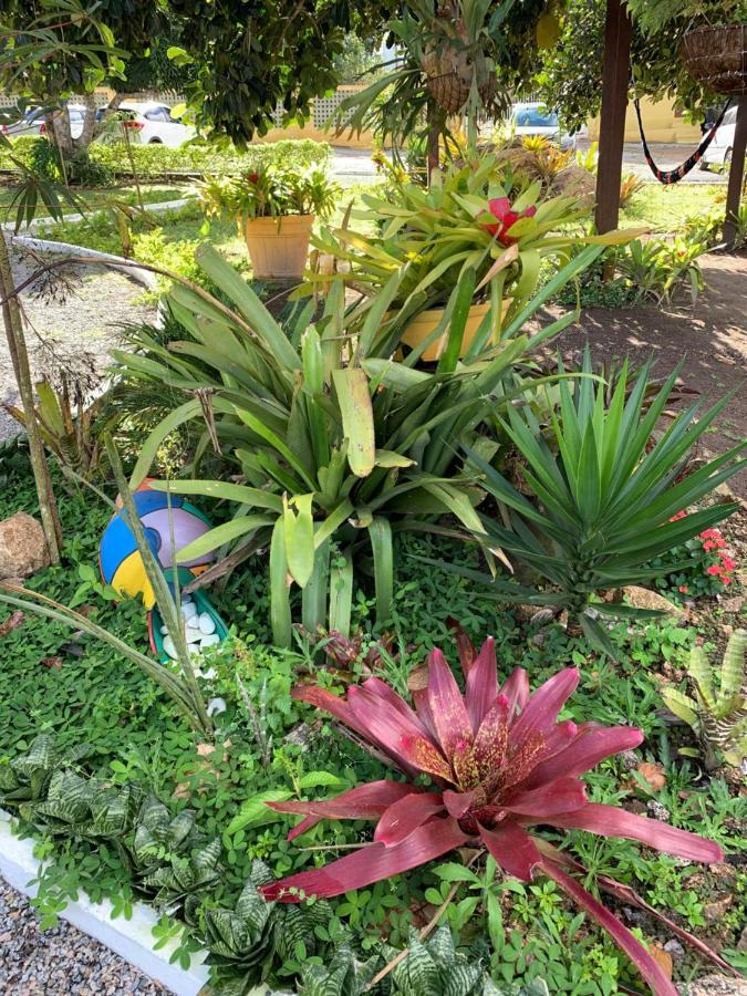 Flat Em Serra Negra - Pe - Condominio Proximo Bodega De Veio, Shows E Eventos เบเซร์โฮส ภายนอก รูปภาพ